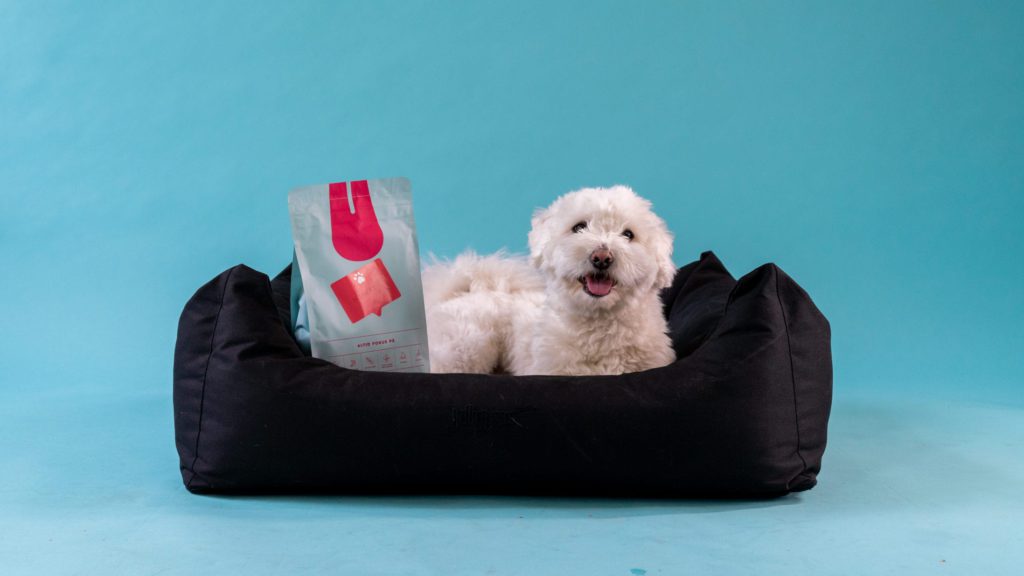 Vuffeli hundeblog