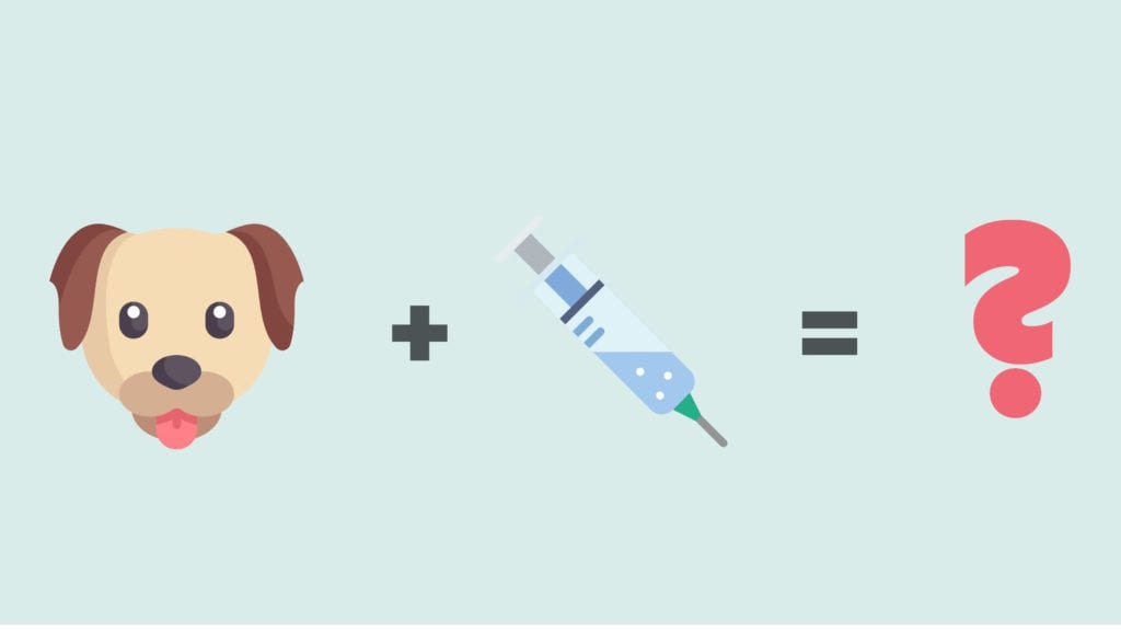 hund og vaccineVuffeli hundeblog