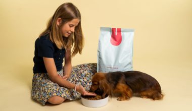 pige giver foder til hund
