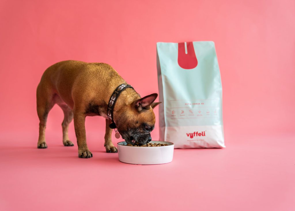 fransk bulldog spiser af hundeskålenVuffeli hundeblog