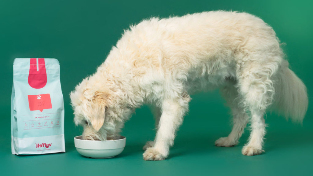 Hund spiser hundefoder eller skånekostVuffeli hundeblog