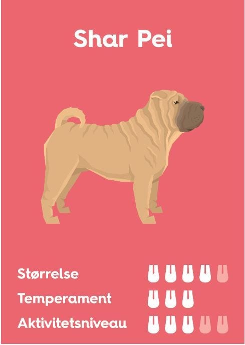 shar pei