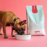 hund spiser foder fra hundeskål vuffeliVuffeli hundeblog