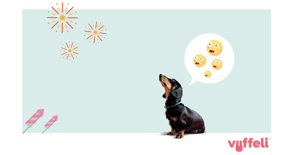 er mere end Fortrolig presse Gør din hund klar til nytårsaften | Vuffeli hundeblog
