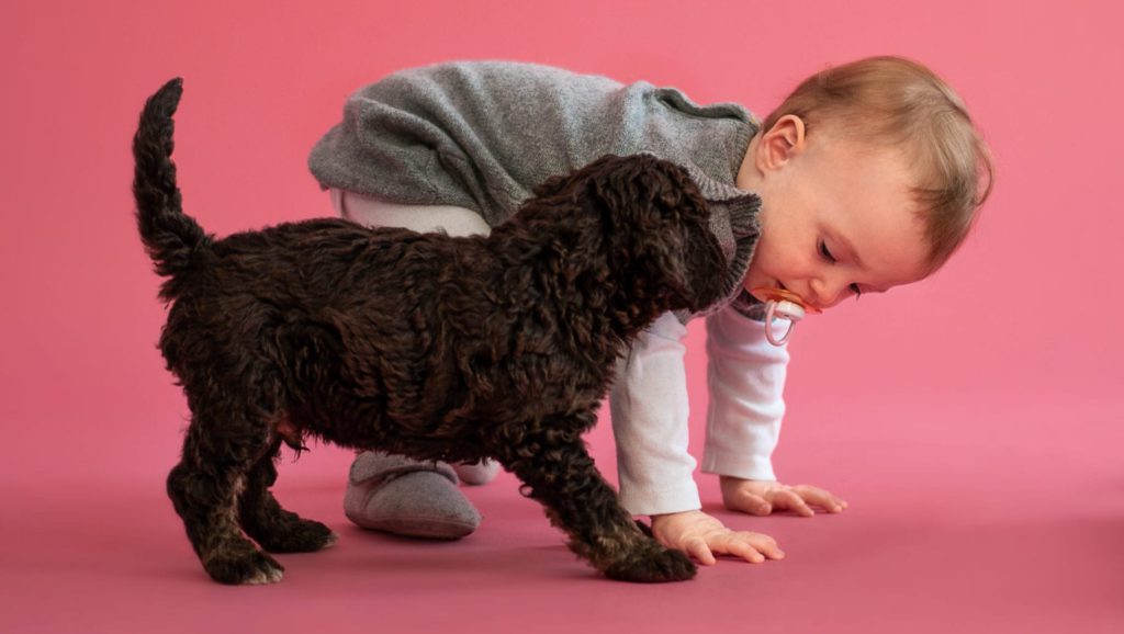 hund og babyVuffeli hundeblog