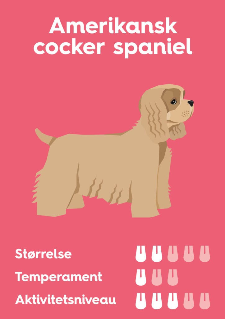 Vuffeli hundeblog