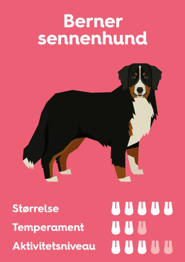 Vuffeli hundeblog
