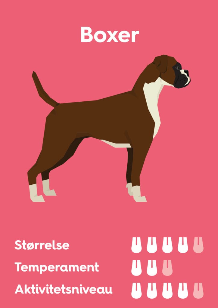 Vuffeli hundeblog