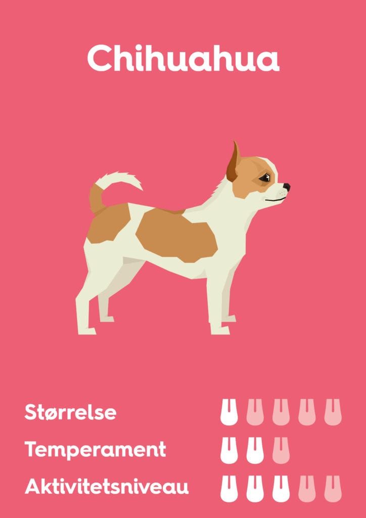 Vuffeli hundeblog