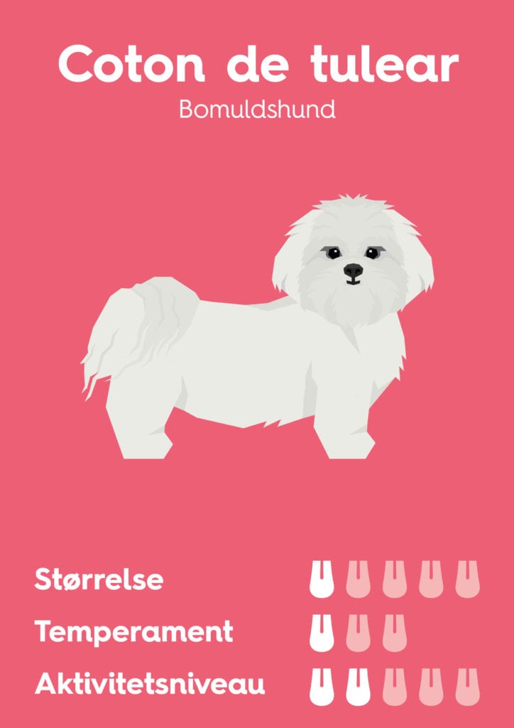 Vuffeli hundeblog