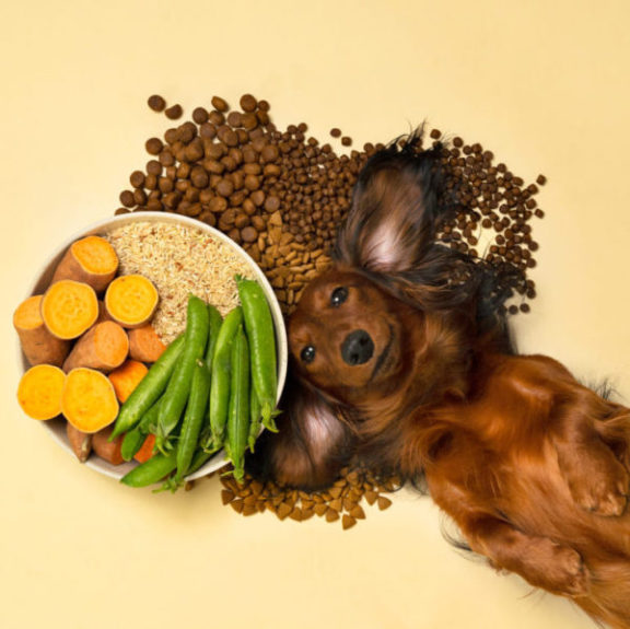 hund og naturligt foderVuffeli hundeblog