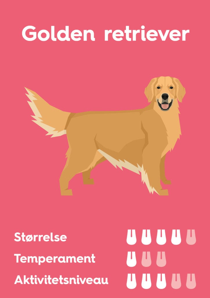 Vuffeli hundeblog