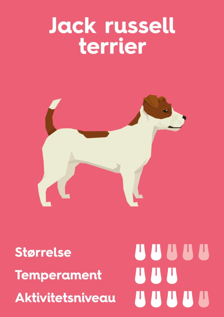 Vuffeli hundeblog