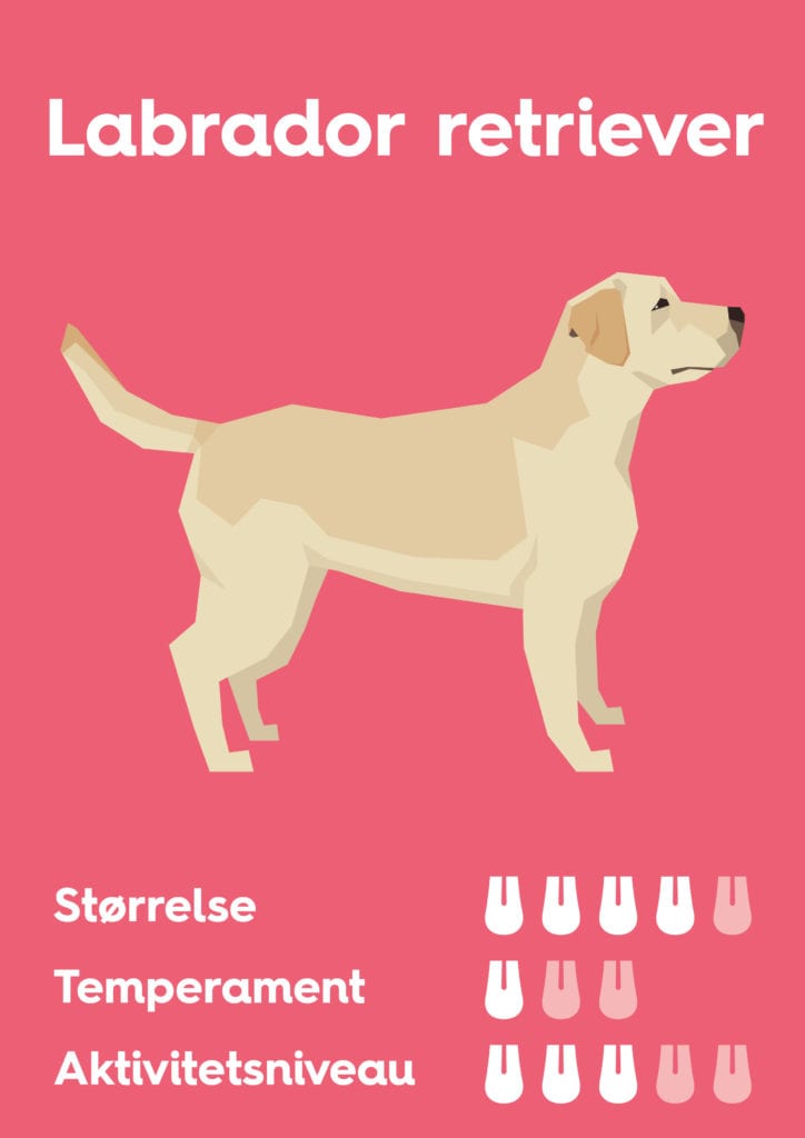 Vuffeli hundeblog