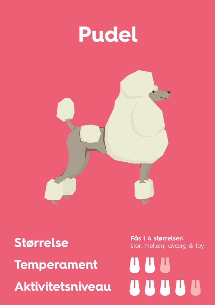 Vuffeli hundeblog