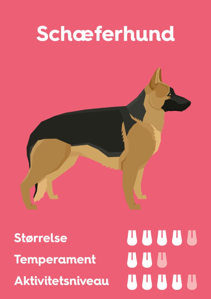Vuffeli hundeblog