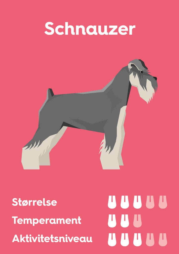 Vuffeli hundeblog