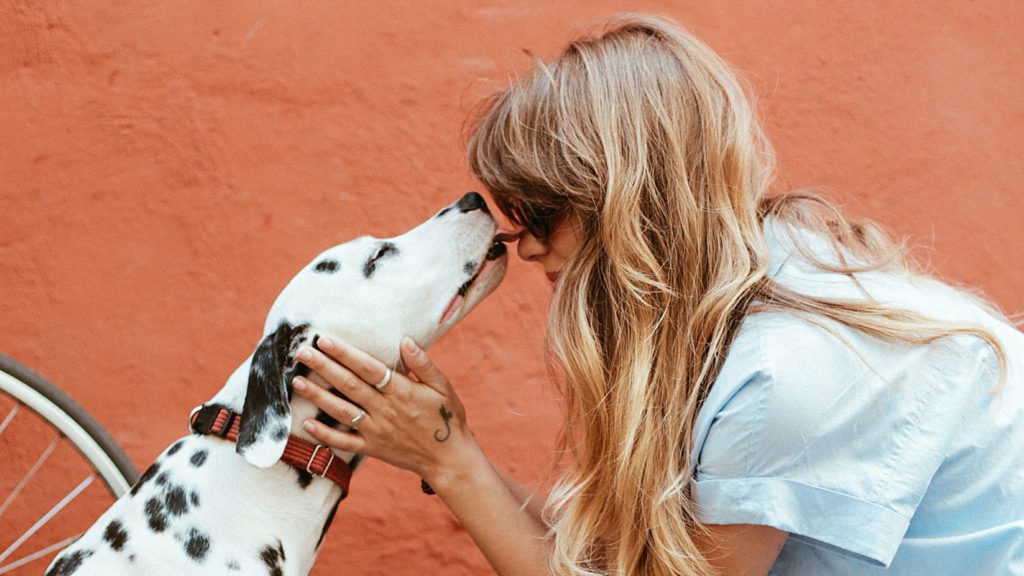 Vuffeli hundeblog