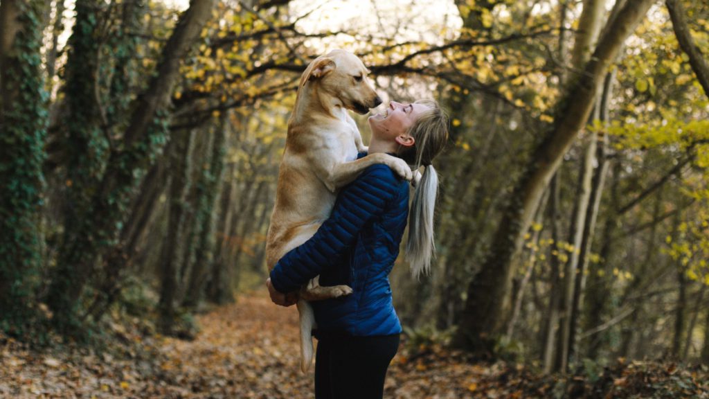 hund sidder i armene på sin ejerVuffeli hundeblog