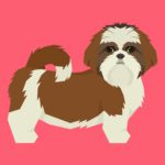 Vuffeli hundeblog