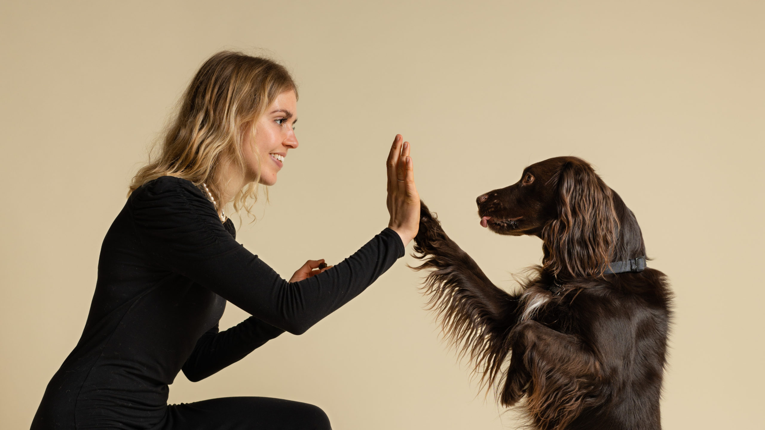 Elsker din hund dig? Lær at din hunds kærlighedssprog | Vuffeli hundeblog