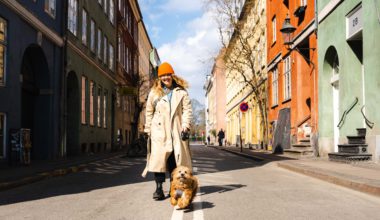 helt-i-hundene-podcast