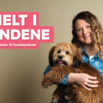 Vuffeli hundeblog