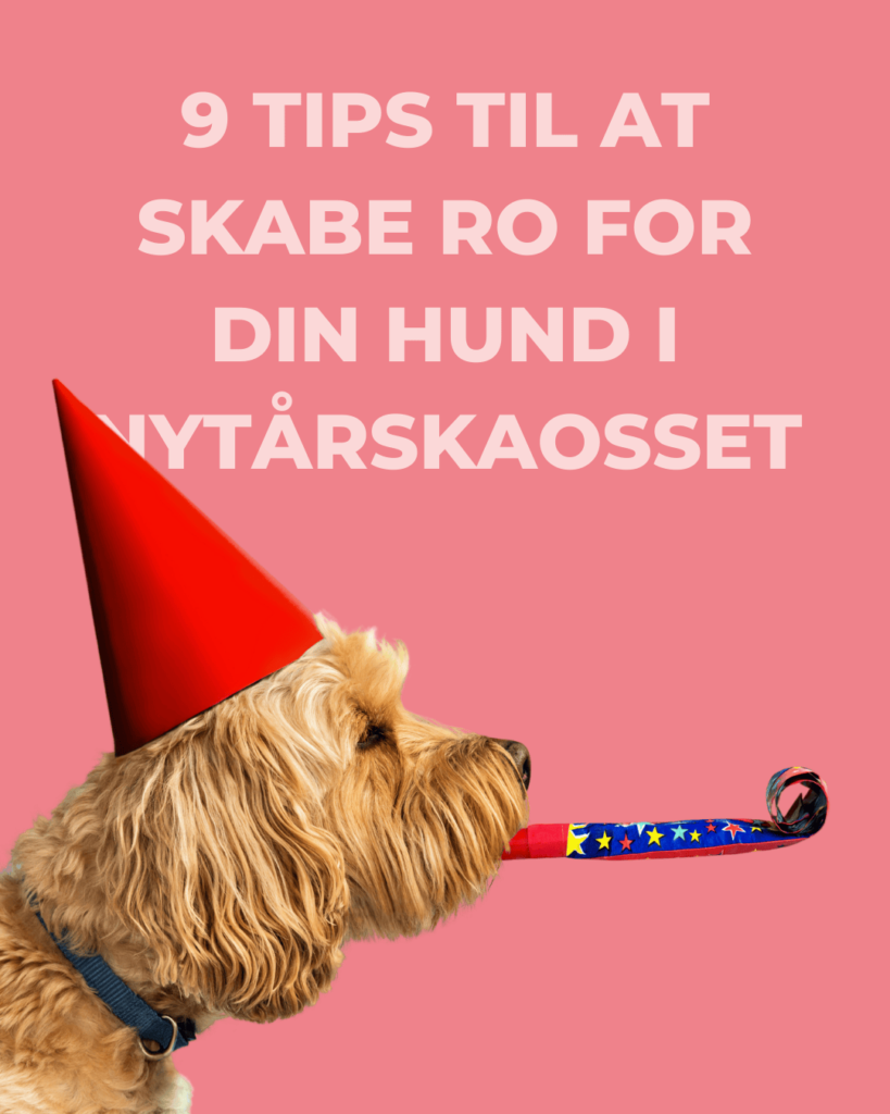 Vuffeli hundeblog